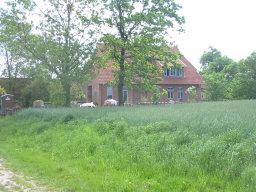 IMG_4877.JPG